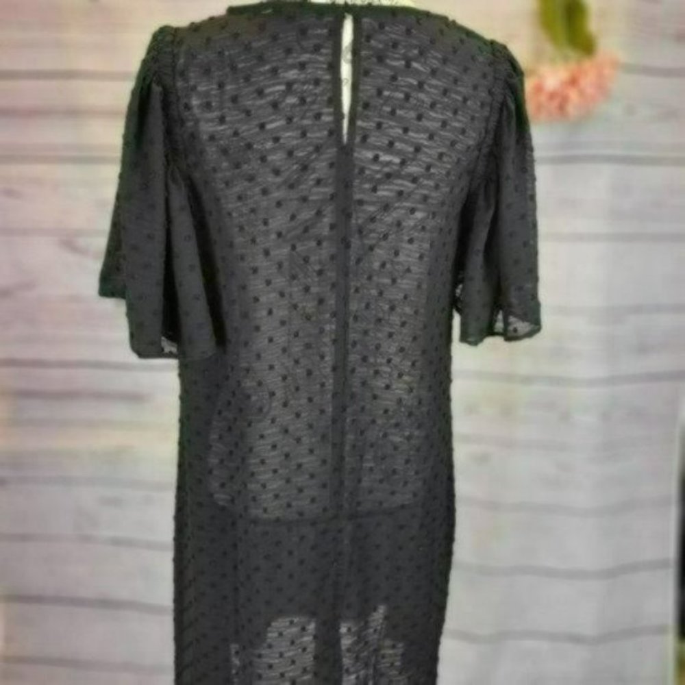 ♡3/$30♡ Polka Dot Sheer Embroidered Mini Dress - Picture 2 of 4